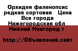 Орхидея фаленопсис редкая сортовая › Цена ­ 800 - Все города  »    . Нижегородская обл.,Нижний Новгород г.